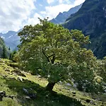 Chalé Reitlehen Hollersbach im Pinzgau