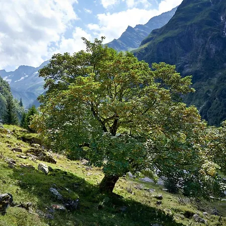 Reitlehen