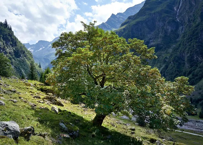 Chalet Reitlehen Hollersbach im Pinzgau